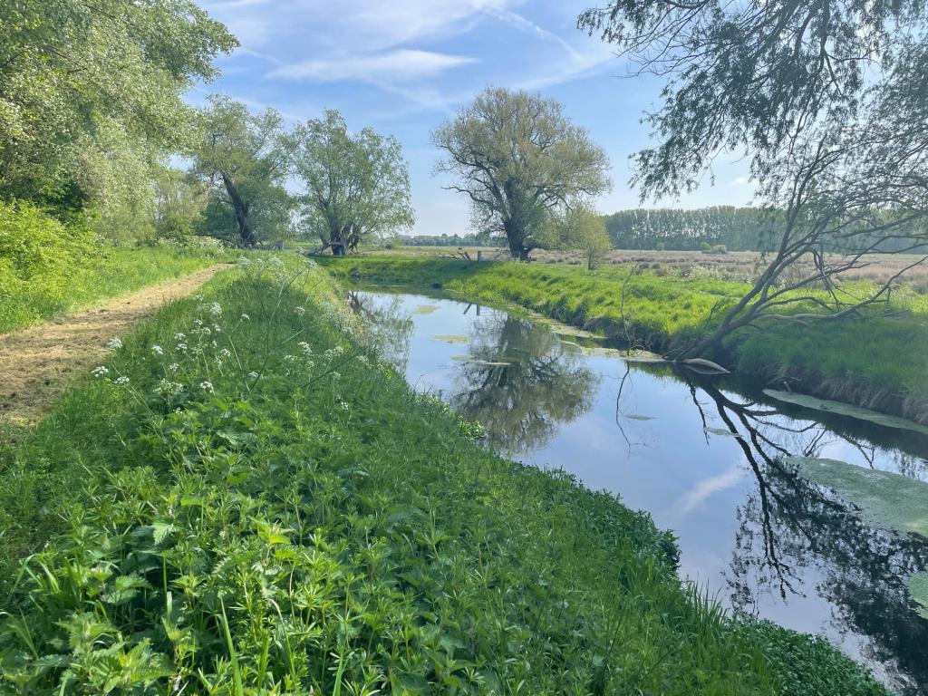 Lot: 14 - AN IDYLLIC SITE INCLUDING FISHING LAKE/DUCK FLIGHT POND ADJACENT TO THE LITTLE STOUR RIVER -